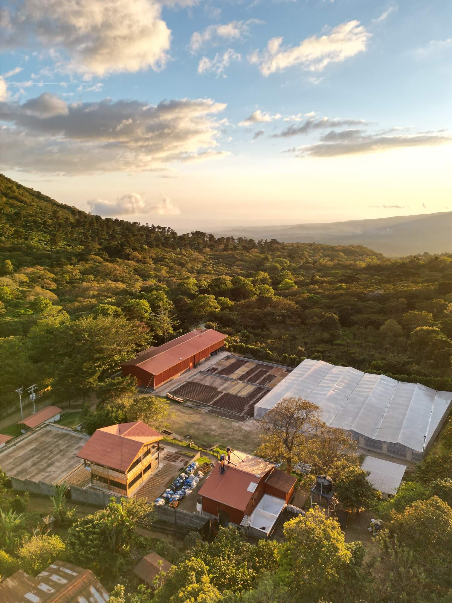 Los Naranjos Farm